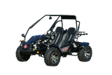 VENTURE 200 EFI AUTOMATIC GOKART
