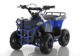MINI COMMANDER 110CC AUTOMATIC ATV