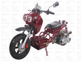 MADDOG GEN I 50cc PMZ50-19 SCOOTER