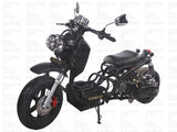 MADDOG GEN I 50cc PMZ50-19 SCOOTER