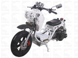 MADDOG GEN I 50cc PMZ50-19 SCOOTER