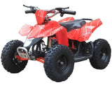SAHARA X 24V MINI QUAD *FREE SHIPPING*