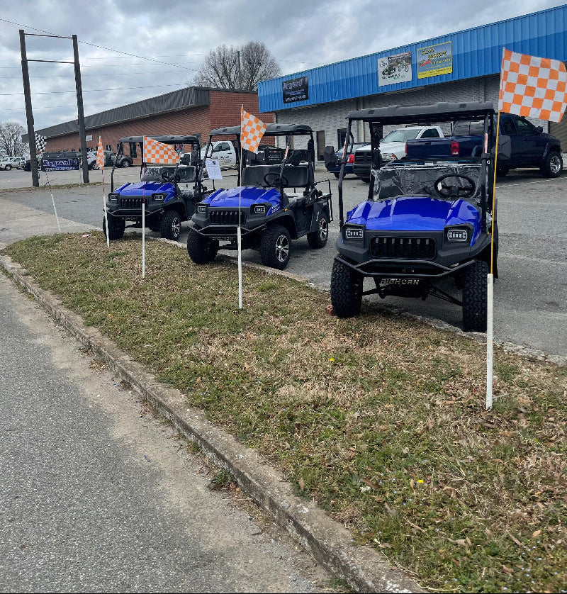 HJS BIGHORN 200 GVXL 4X2 HIGH/LOW SPECIAL EDITION UTV GOLF CART - TurboPowersports.com