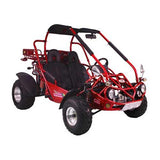 300cc Go Kart XRX-E EFI Fuel Injected Automatic CVT w/Reverse Dune Buggy