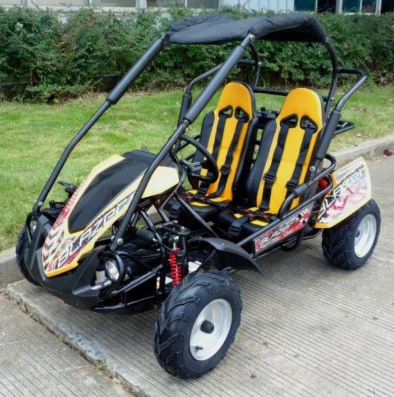  TrailMaster Blazer 200R Mid Size Go Kart for sale 