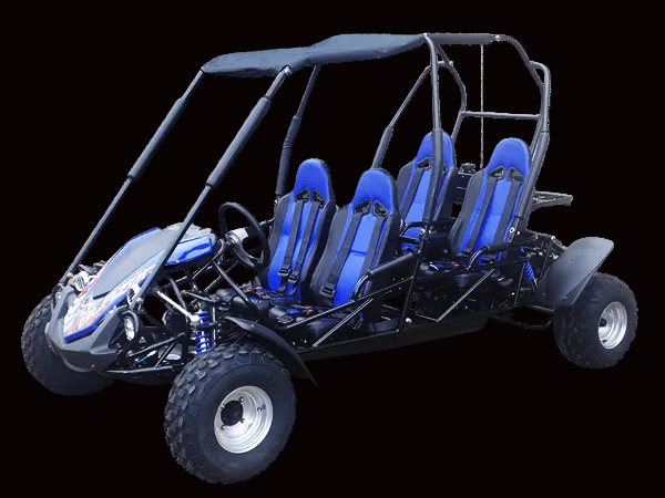 TM BOBCAT EFI 300 XRS4 Go Kart Trailmaster 300cc CVT Automatic with Reverse - TurboPowersports.com