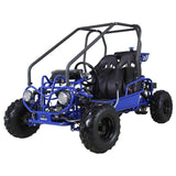 GK110 Automatic GO KART with Reverse