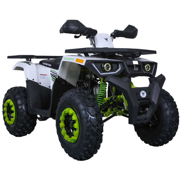 RAPTOR 200cc Automatic UTILITY ATV
