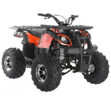 125CC Focus 10 DLX ATV
