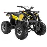 125CC Focus 10 DLX ATV