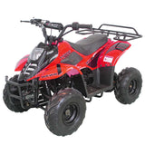 HAWK 110CC AUTOMATIC ATV