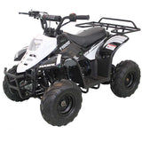 HAWK 110CC AUTOMATIC ATV