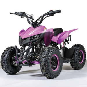 Mini RACER 60CC AUTOMATIC ATV