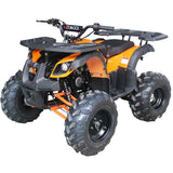 RIDER 10 125CC AUTOMATIC ATV