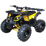 RIDER 10 125CC AUTOMATIC ATV